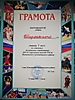 Соревнования ТОСОВ